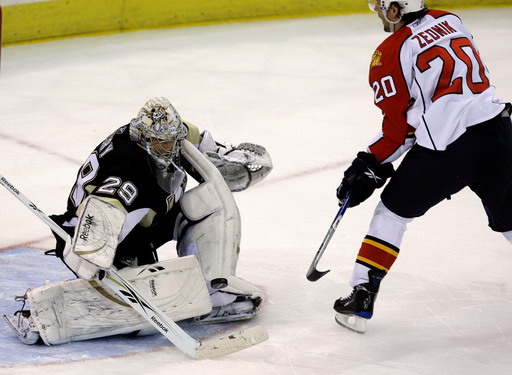 Richard Zedník, Marc-Andre Fleury