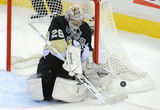 Marc-Andre Fleury0