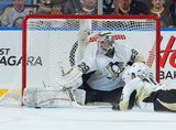 Marc-Andre Fleury, Tanner Glass